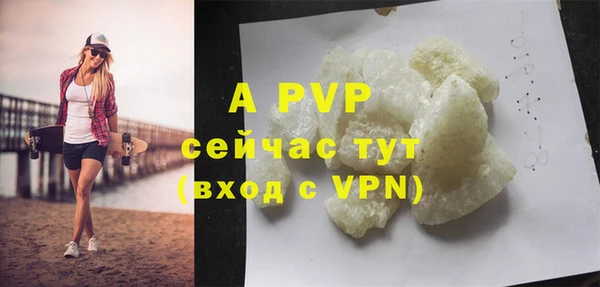 apvp Инта