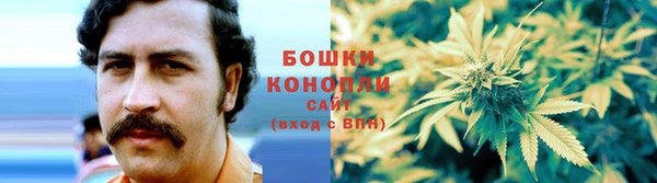 apvp Инта