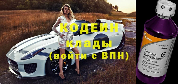 apvp Инта