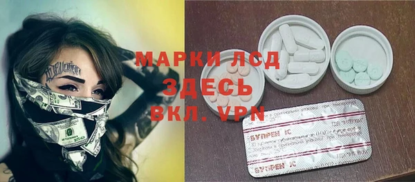 apvp Инта