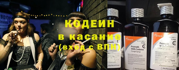 apvp Инта