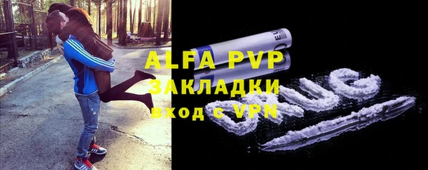 ALPHA PVP Иннополис