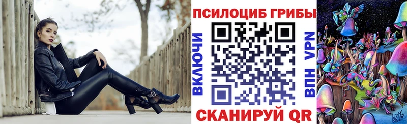 Псилоцибиновые грибы GOLDEN TEACHER  блэк спрут рабочий сайт  Чёрмоз 